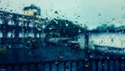 pxhere.com, фото - Новости Zakon.kz от 09.09.2019 09:07