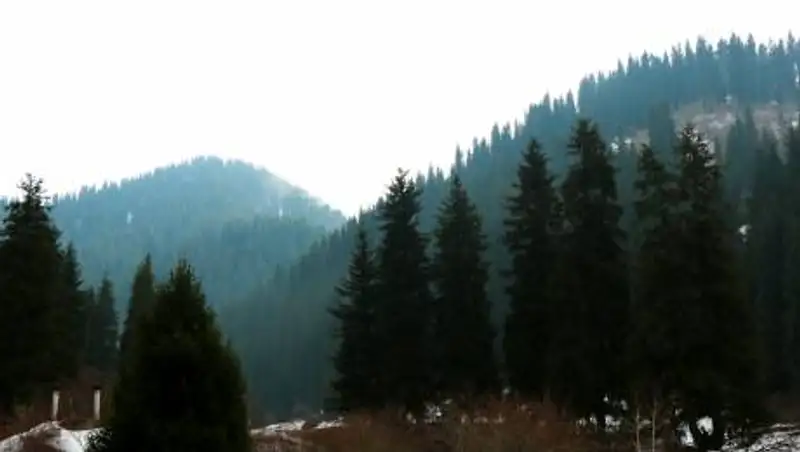 Дождь и снег: Какая погода ожидает казахстанцев 3 октября