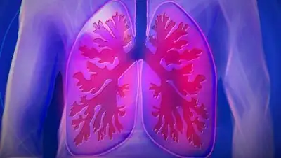 pixabay.com, фото - Новости Zakon.kz от 15.09.2021 14:48