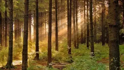 Zakon.kz, фото - Новости Zakon.kz от 10.11.2015 12:15