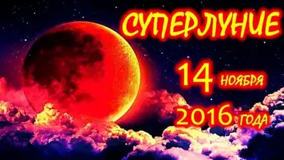 Zakon.kz, фото - Новости Zakon.kz от 11.11.2016 18:53