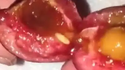 Zakon.kz, фото - Новости Zakon.kz от 11.06.2015 17:30