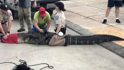 CNN, фото - Новости Zakon.kz от 06.08.2020 17:16