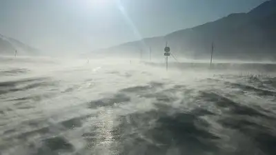 Zakon.kz, фото - Новости Zakon.kz от 15.01.2014 14:15