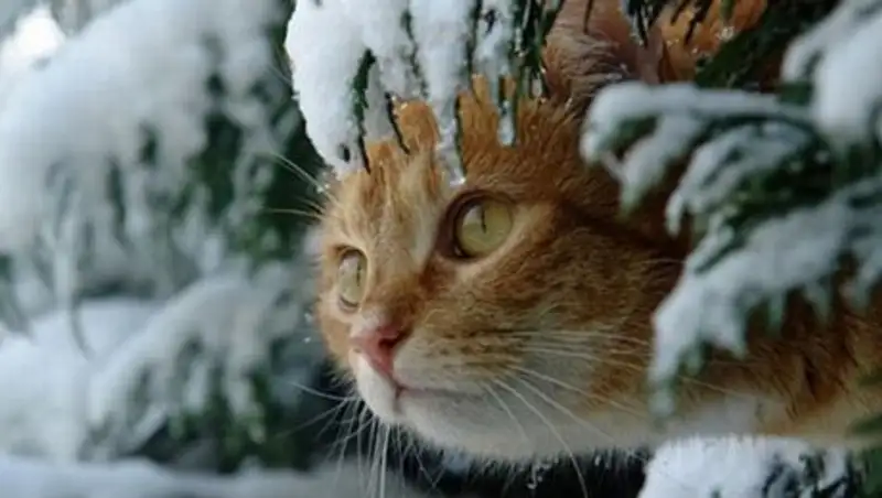 В пятницу в Казахстане возможны осадки