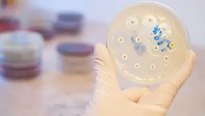 BezMedikov.ru, фото - Новости Zakon.kz от 23.05.2018 01:50