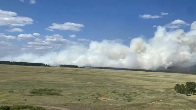 Продолжается тушение пожара в лесничестве "Ертіс орманы"