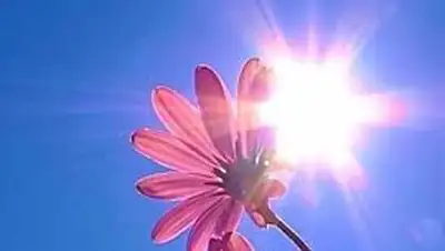 Zakon.kz, фото - Новости Zakon.kz от 26.07.2014 15:00