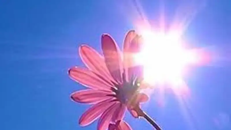 Жаркая погода без осадков ожидается на юге Казахстана в субботу