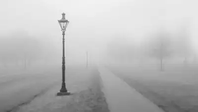 Zakon.kz, фото - Новости Zakon.kz от 22.02.2019 12:27