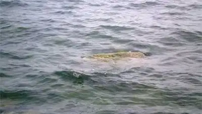 Zakon.kz, фото - Новости Zakon.kz от 15.04.2014 18:50