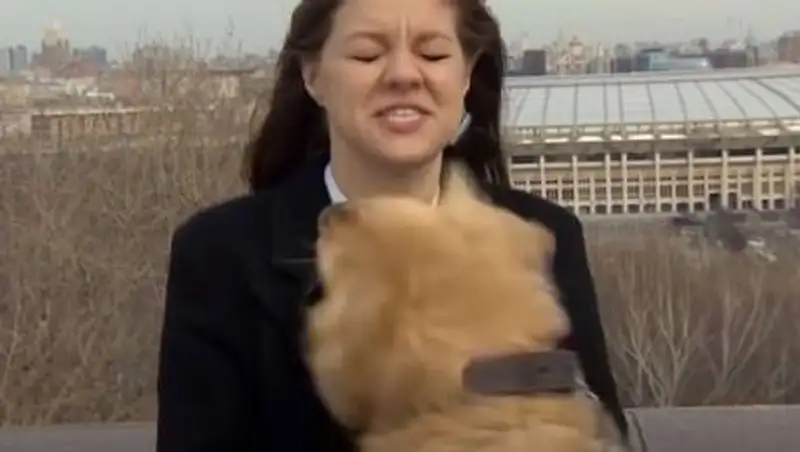 Собака украла микрофон у российской журналистки в прямом эфире
