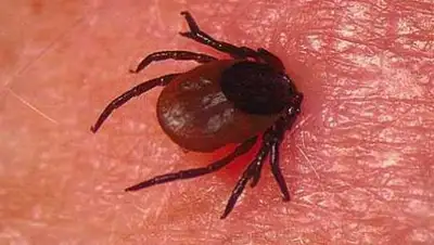 Zakon.kz, фото - Новости Zakon.kz от 09.04.2015 23:38