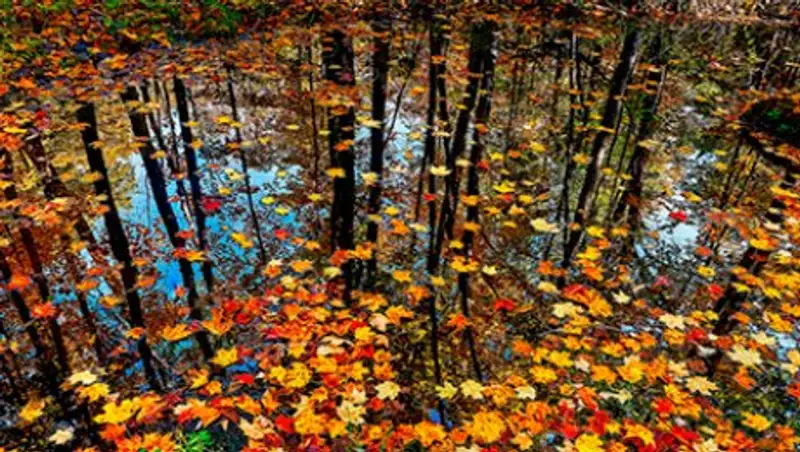 Октябрь в Казахстане начнется с дождей