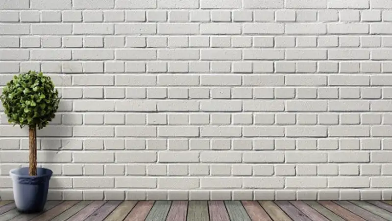 Ученые выяснили, очищают ли комнатные растения воздух