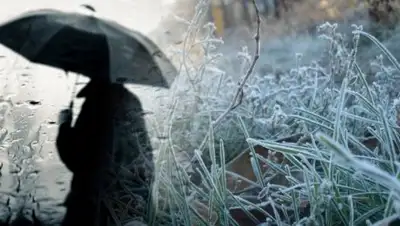 bagnet.org, фото - Новости Zakon.kz от 08.04.2018 15:01