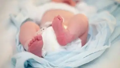 Zakon.kz, фото - Новости Zakon.kz от 13.07.2017 18:54