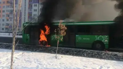 Zakon.kz, фото - Новости Zakon.kz от 15.11.2018 10:47