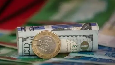 Соцсети, фото - Новости Zakon.kz от 15.11.2018 14:30