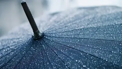 Zakon.kz, фото - Новости Zakon.kz от 07.05.2017 12:00