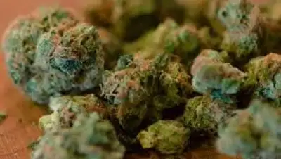 Zakon.kz, фото - Новости Zakon.kz от 06.05.2015 12:46