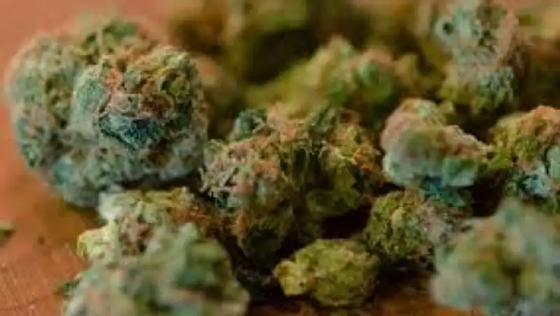 В Чили конфискована партия наркотиков на сумму $8,5 млн