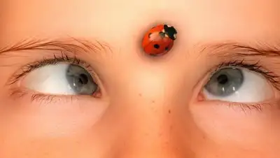 pixabay, фото - Новости Zakon.kz от 13.02.2019 13:08