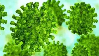 Zakon.kz, фото - Новости Zakon.kz от 23.06.2015 20:34