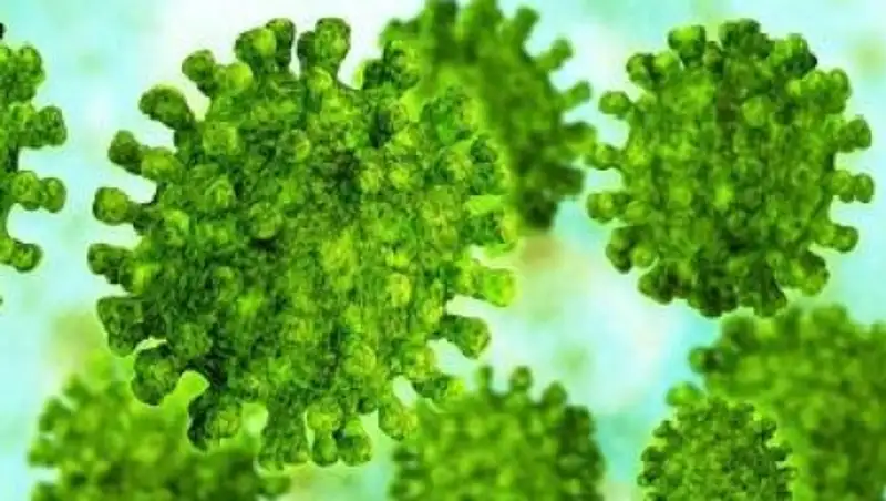 Ученые нашли слабое место вируса MERS