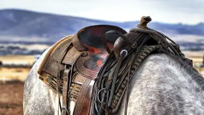 лошадь виновник Алматинская область прекращение уголовного дела, фото - Новости Zakon.kz от 19.07.2022 13:08