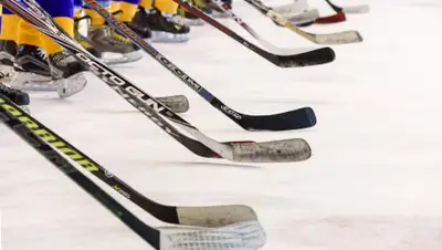 Pixabay, фото - Новости Zakon.kz от 05.05.2019 19:51