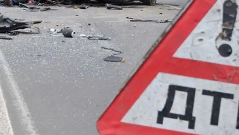 В Алматинской области задержали виновника ДТП со смертельным исходом