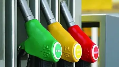 Zakon.kz, фото - Новости Zakon.kz от 05.02.2015 15:03