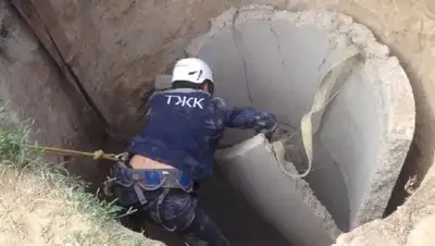 Zakon.kz, фото - Новости Zakon.kz от 21.06.2017 18:59