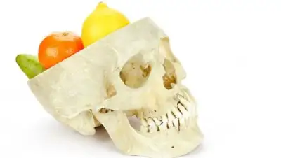 Zakon.kz, фото - Новости Zakon.kz от 28.03.2017 14:46