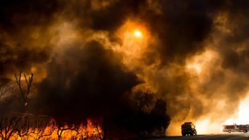 В округе Лос-Анджелес ввели режим ЧС из-за природных пожаров