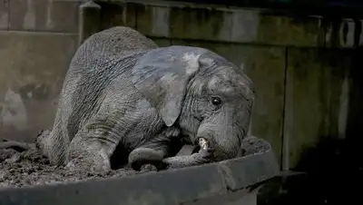 Zakon.kz, фото - Новости Zakon.kz от 26.05.2017 22:54