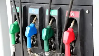 Zakon.kz, фото - Новости Zakon.kz от 30.01.2017 19:38