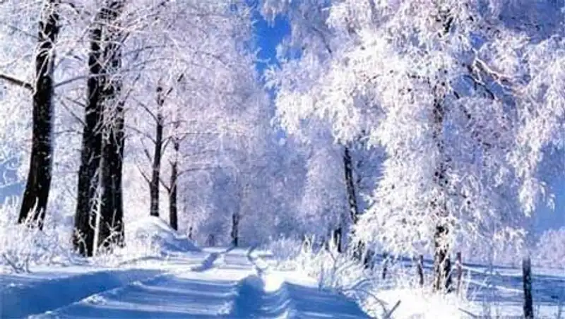 Ясная погода ожидается сегодня на большей территории страны