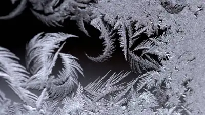 pixnio.com, фото - Новости Zakon.kz от 15.11.2021 12:06