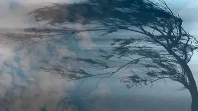 pixabay.com, фото - Новости Zakon.kz от 19.04.2021 17:07