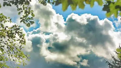 newstula.ru, фото - Новости Zakon.kz от 26.09.2020 09:30