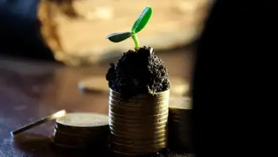 margin.kz, фото - Новости Zakon.kz от 05.12.2019 22:41