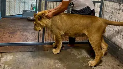 Кирилл Осин, фото - Новости Zakon.kz от 15.07.2020 19:42