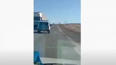 кадр видео, фото - Новости Zakon.kz от 26.11.2020 16:10