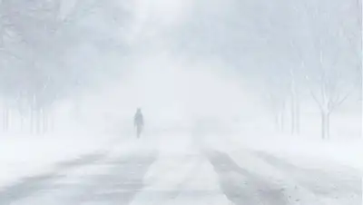 туман, зима , фото - Новости Zakon.kz от 25.01.2022 15:49
