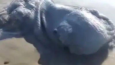 Zakon.kz, фото - Новости Zakon.kz от 13.03.2016 16:30