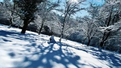 Фото: getbg.net, фото - Новости Zakon.kz от 07.12.2017 09:35