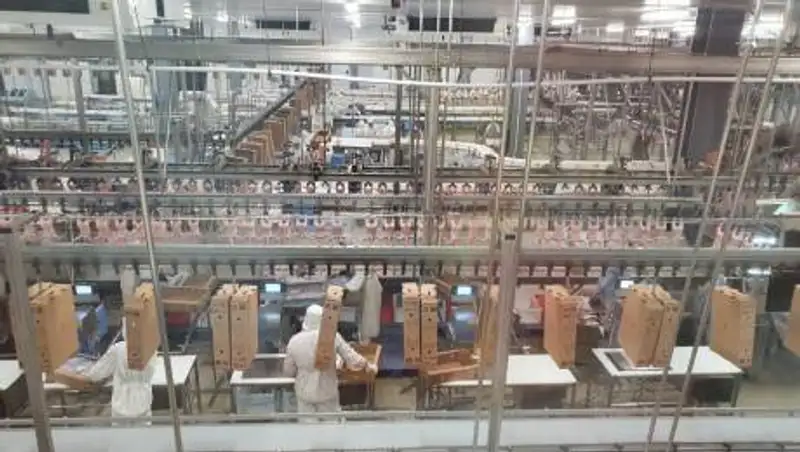 Доля странового импорта мяса птицы сократится почти на 18%