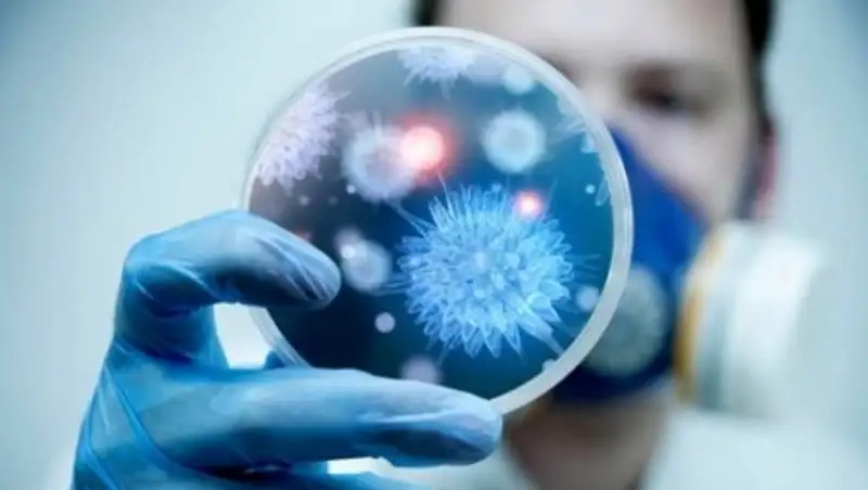 С начала года от менингококковой инфекции погибли восемь казахстанцев